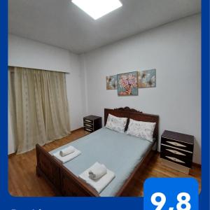 Spacious Apartment 2 minutes from Omonoia Metro