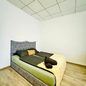 Modern 2BR Apt for 5 people with the city center