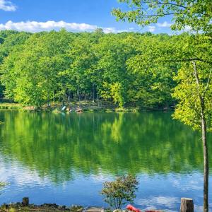 Lakefront Kayaks, HotTub FirePit Sauna Pool
