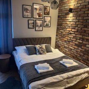 Apartamenty Szary Wilk - klimatyczne apartamenty typu studio dla 2 osób - BLISKO CENTRUM -BEZPŁATNY PARKING
