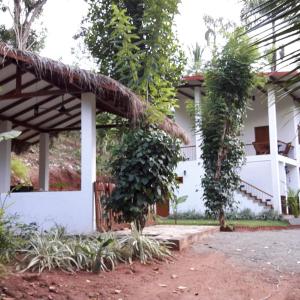 Zee's Garden