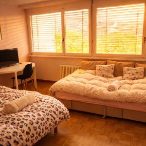Cozy Flat in the Center of Kleinbasel