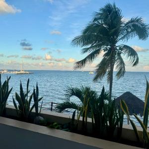 Hacienda del Mar Resort Condominio 205
