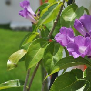 La Passione Boutique B&B