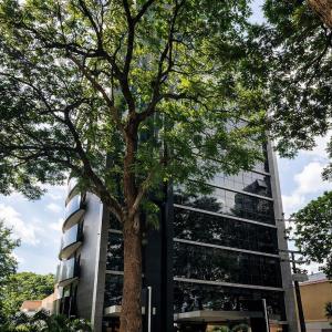 Departamento cómodo con excelente ubicación