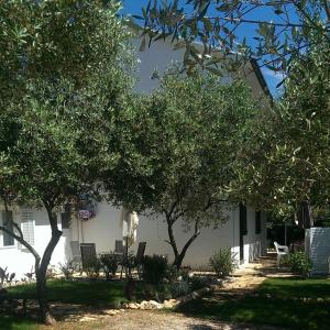 Apartments with garden