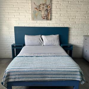 Canova Hostel & Pizza