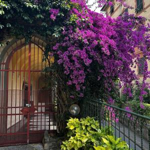 Villa Azzurra Genova Resort