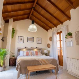 Apartamentos VITA CENTER