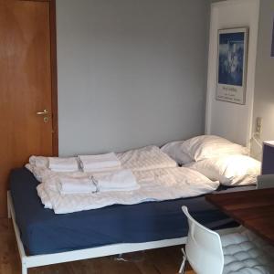 Central Microflat, free parking, garden BBQ, LegoHouse, Legoland,