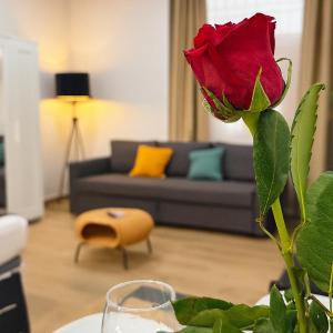 New Apartment - La puerta de olivo