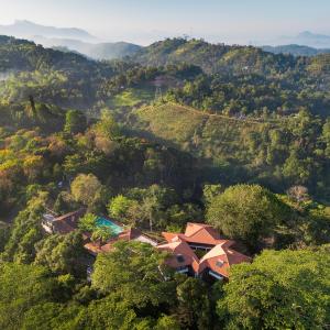 Tree of Life Nature Resort