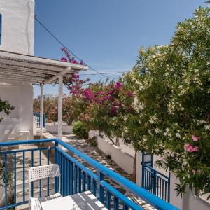 Livadia Seaside Studios 10
