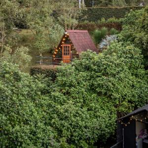 Chalets en Santa Elena en medio del Bosque