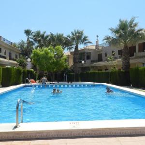 Playa flamenca