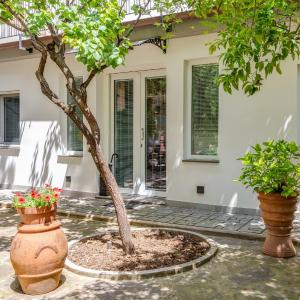 Casa di Marte con patium relax
