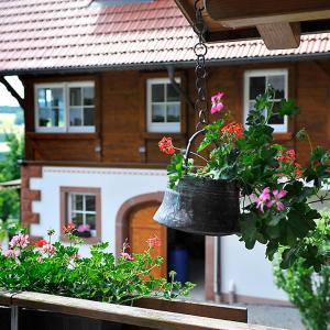 Riehle Hof