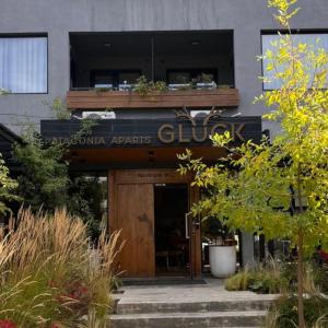 Gluck Patagonia Aparts