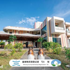 Taitung Rainbow Pet Friendly Maison Resort