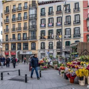 HOSTAL ANDREA SOL