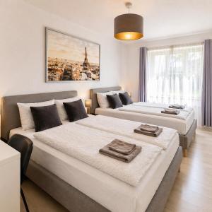 Cosy Apartment with kitchen&Netflix in Dresden Neustadt