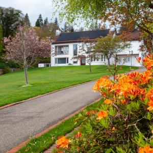 Drumfin Cottage