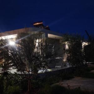 Rey Garden 2