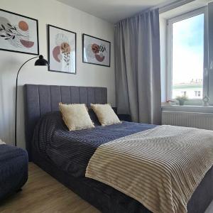 Apartament Dzielna