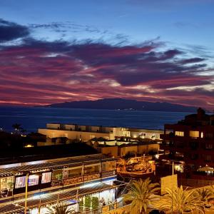 Flamingo Palm-Mar