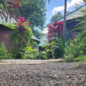 Kizumba House