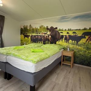 Camping Mitrov