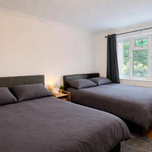 Spacious Rooms 21