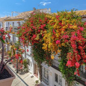 Casa Ancha 10