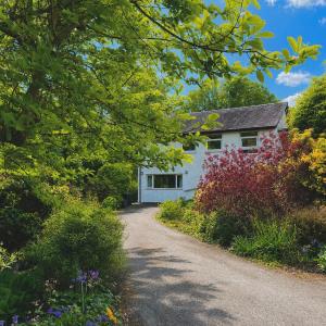 The Shades - Bliss In The Heart of Windermere
