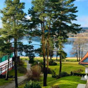 Lipno Beach Apartment