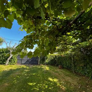 Casa Otilia - Rural - Camino de Santiago - Arzúa