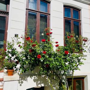 Zentrales und sehr ruhiges Apartment im beliebtesten Bremer Viertel
