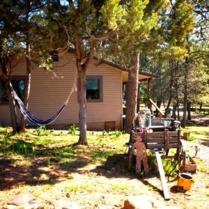 Peaceful Pine Place Cabin