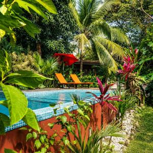 Casa Mapache Pool and Breakfast Available near Tamarindo Beach