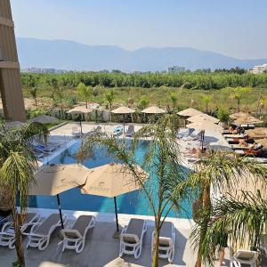 Pool View Palm 002