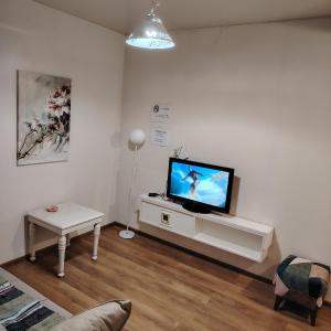 APARTMENT in TBILISI Koko