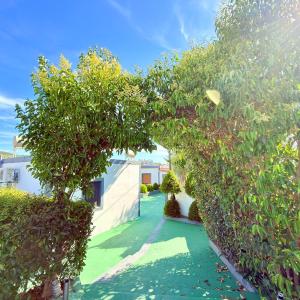 Petrit Guesthouse