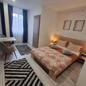Studio Elvetia