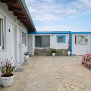 STUDIOS TASOS BI
