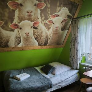 Pokoje i Apartamenty Regionalny Styl ul Króle 1a Zakopane