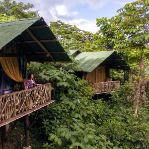 La Tigra Rainforest Lodge