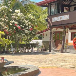 Galera Lodge & Cafe