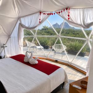 Romantic Dome & French Cuisine