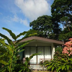 Yellow Tree Suites