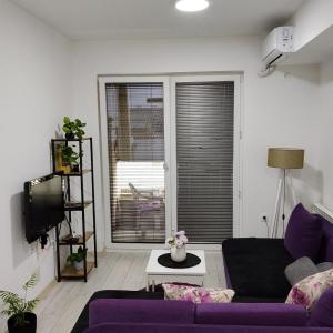 Stef's place